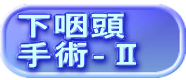 下咽頭 手術‐Ⅱ