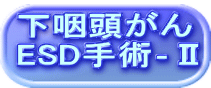 下咽頭がん ESD手術‐Ⅱ