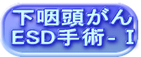下咽頭がん ESD手術‐Ⅰ